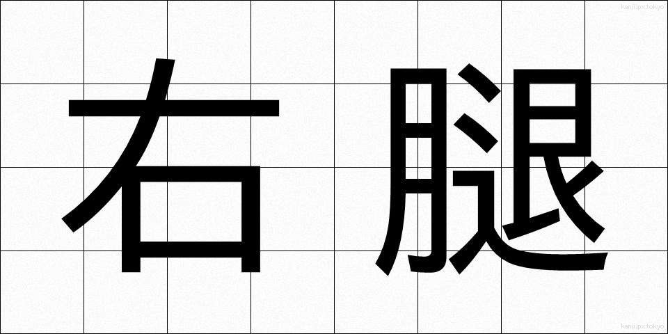 右腿 (うもも)