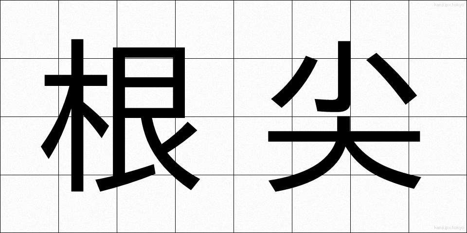 根尖 (こんせん)