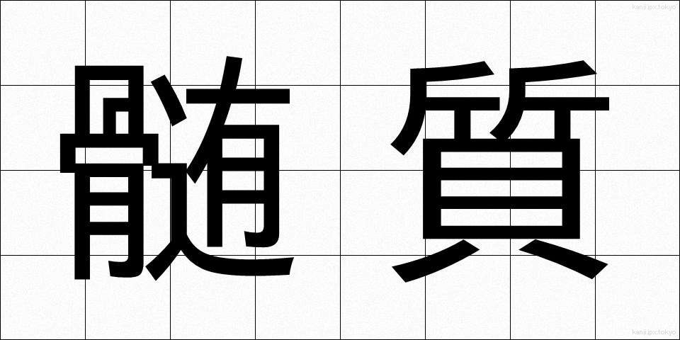 髄質 (ずいしつ)