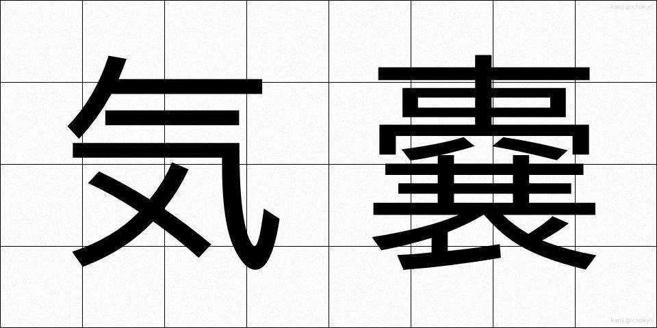 気嚢 (きのう)