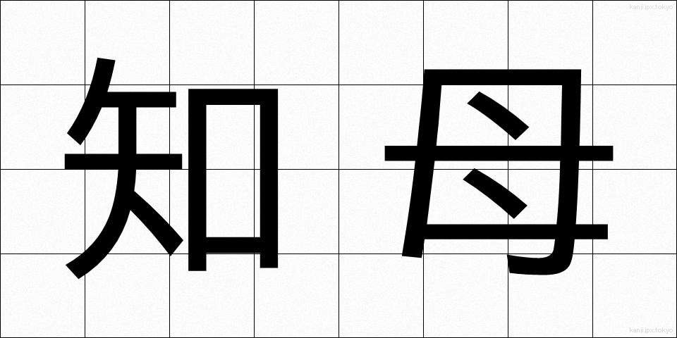 知母 (ちぼ)