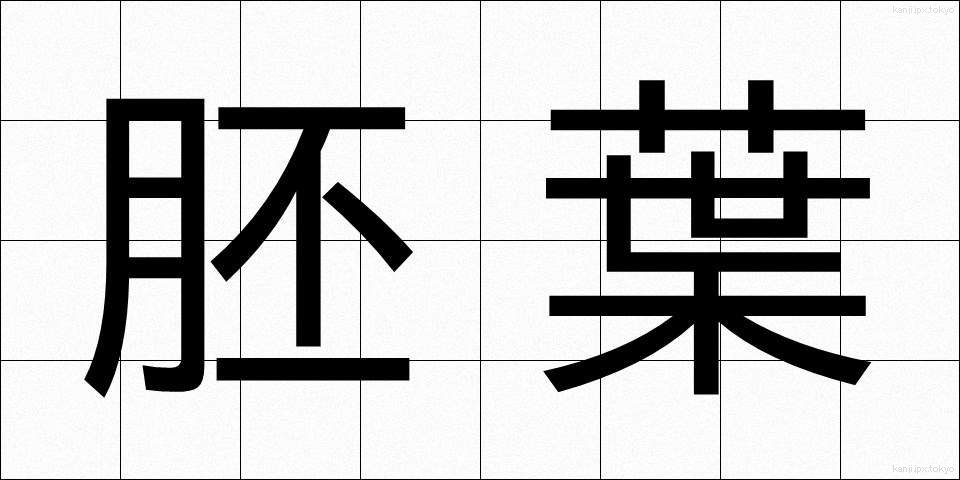 胚葉 (はいよう)