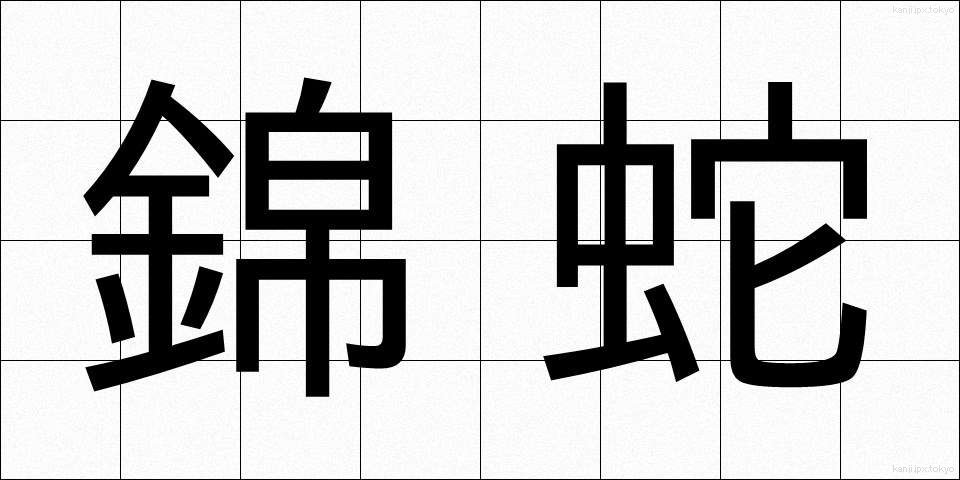 錦蛇 (きんじゃ)