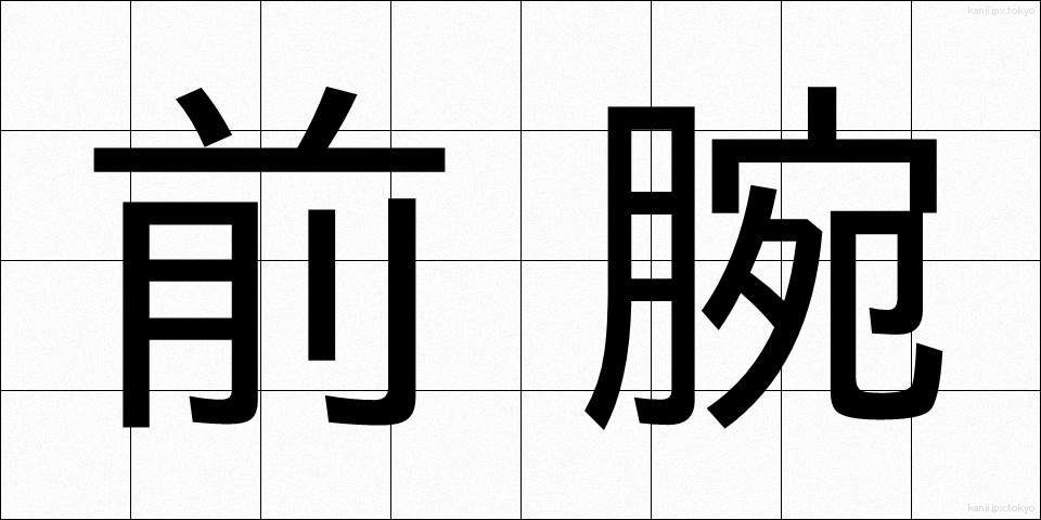 前腕 (ぜんわん)