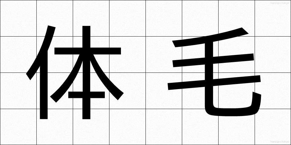 体毛 (たいもう)