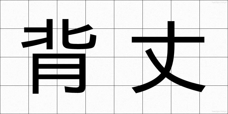 背丈 (せたけ)
