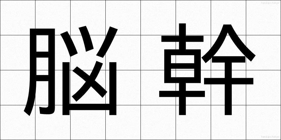 脳幹 (のうかん)