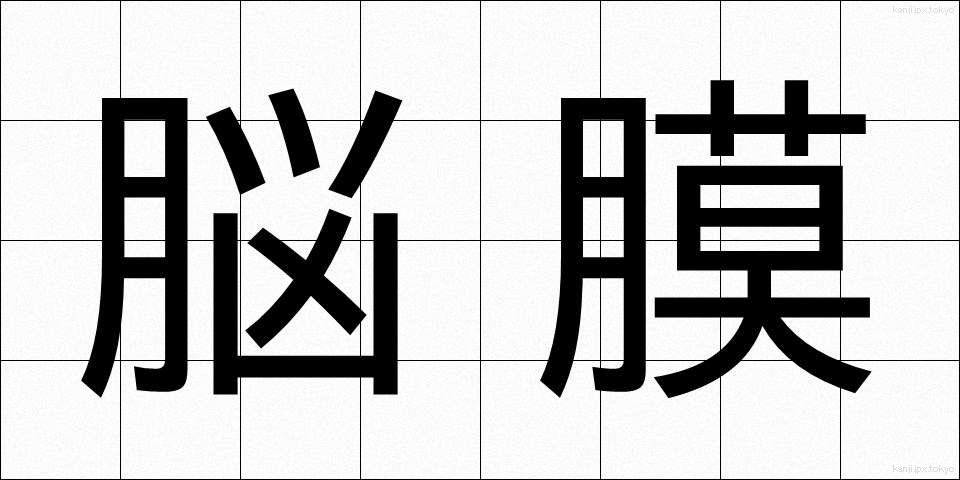 脳膜 (のうまく)