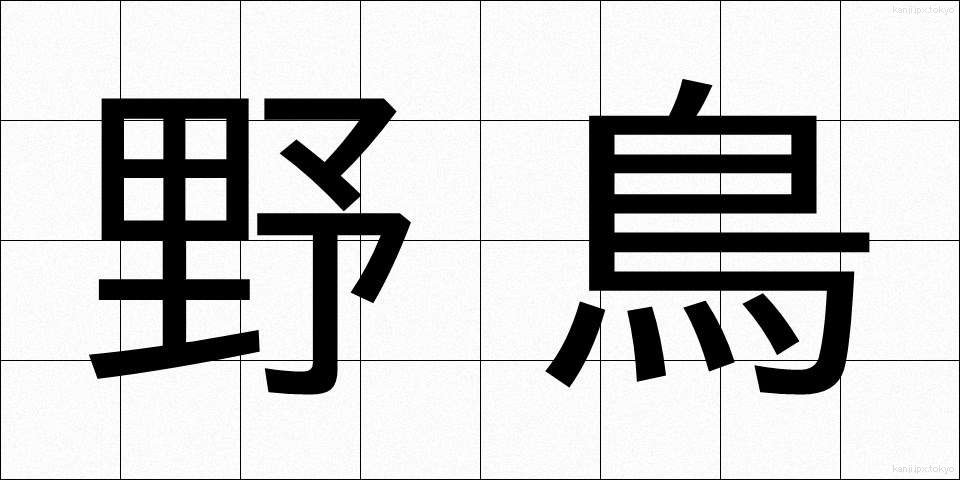 野鳥 (やちょう)