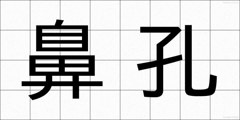 鼻孔 (びこう)