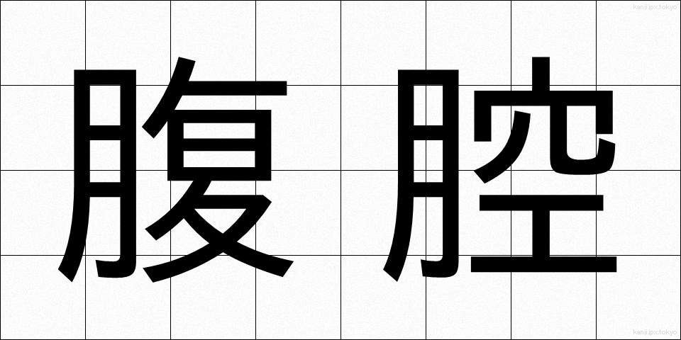 腹腔 (ふくくう)