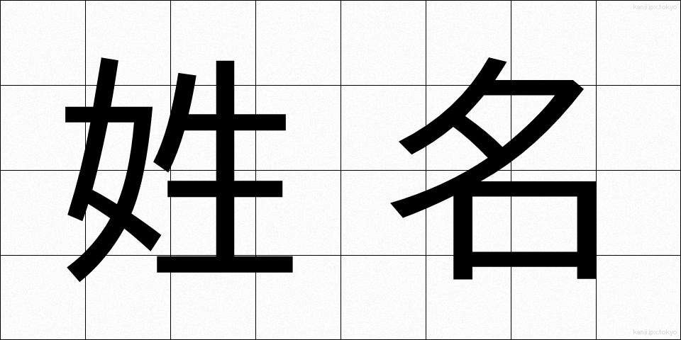 姓名 (せいめい)