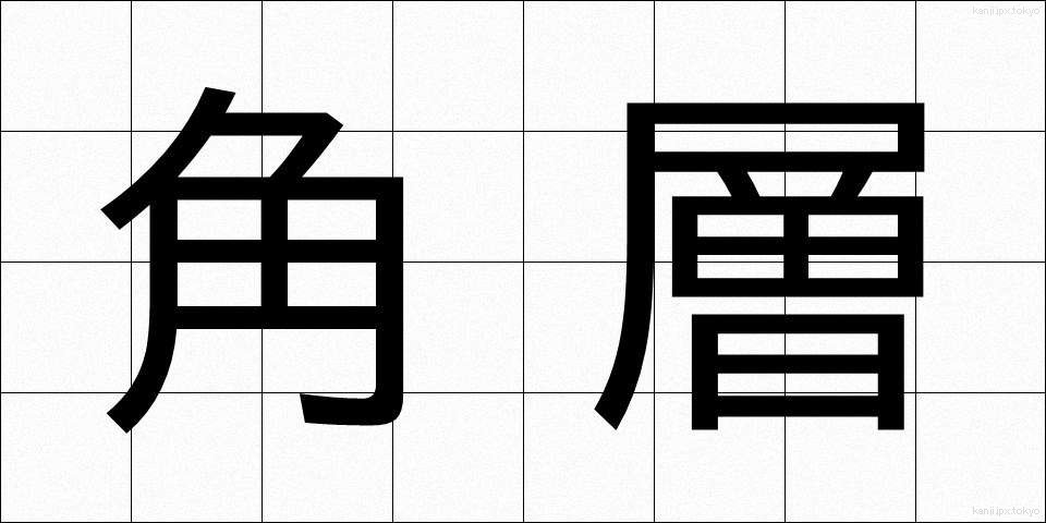 角層 (かくそう)