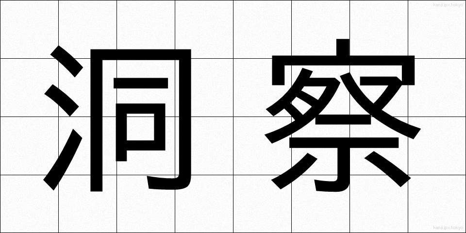 洞察 (どうさつ)