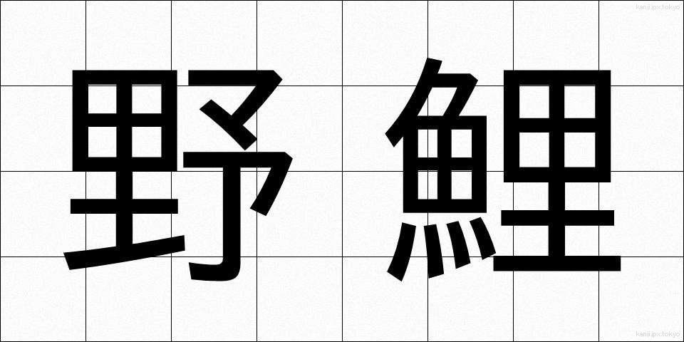 野鯉 (のごい)