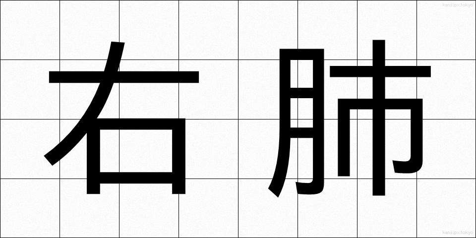 右肺 (うはい)