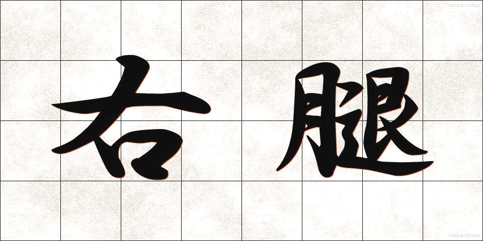 右腿 (うもも)