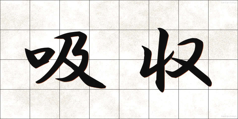 吸収 (きゅうしゅう)