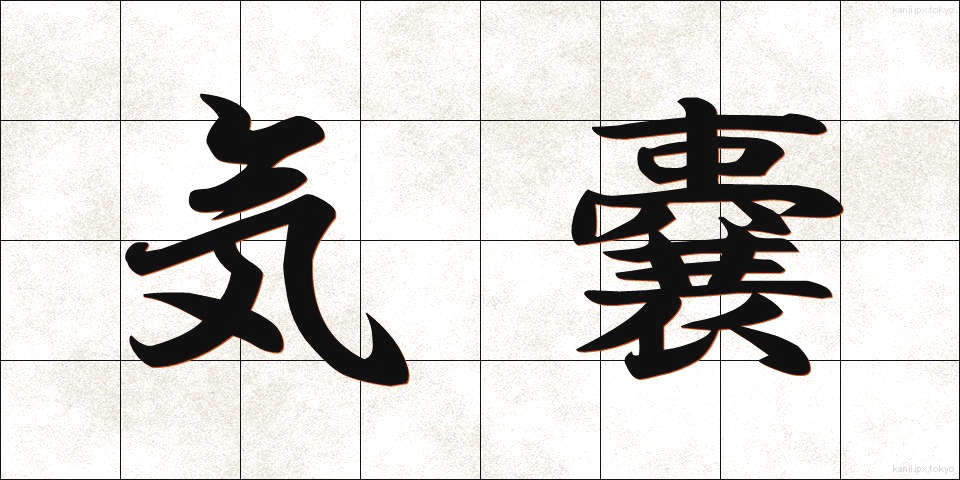気嚢 (きのう)