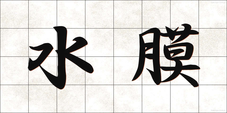 水膜 (すいまく)