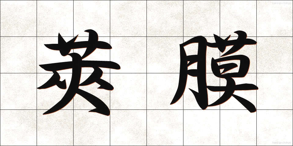 莢膜 (しょうまく)