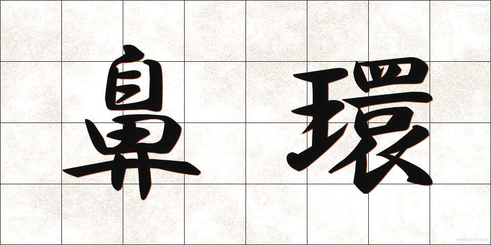鼻環 (びかん)