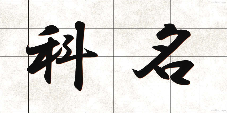 科名 (かめい)