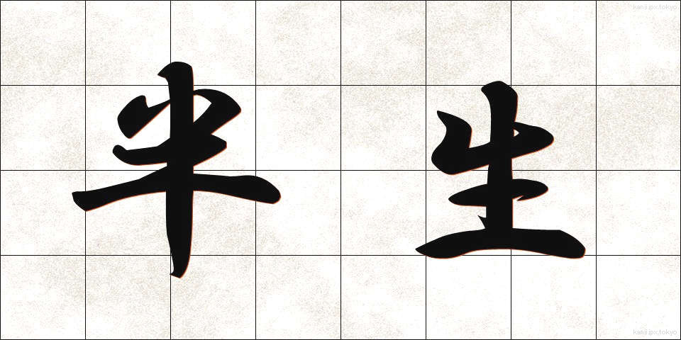 半生 (はんせい)