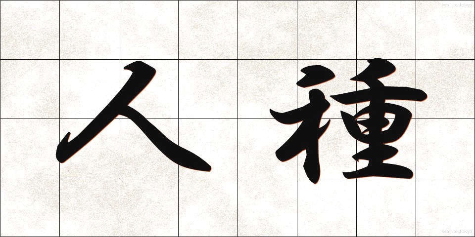 人種 (じんしゅ)