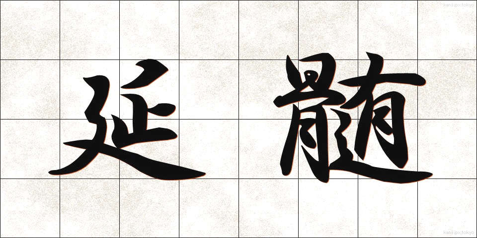 延髄 (えんずい)