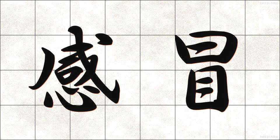 感冒 (かんぼう)