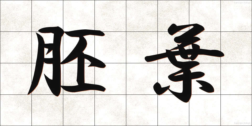 胚葉 (はいよう)