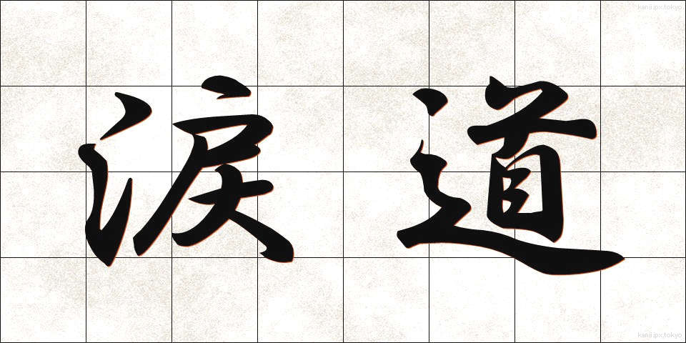 涙道 (るいどう)