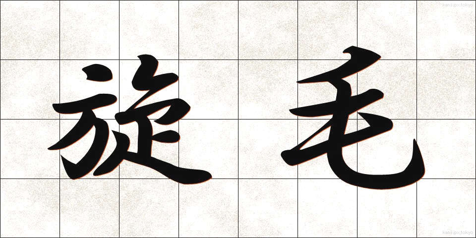 旋毛 (つむじ)