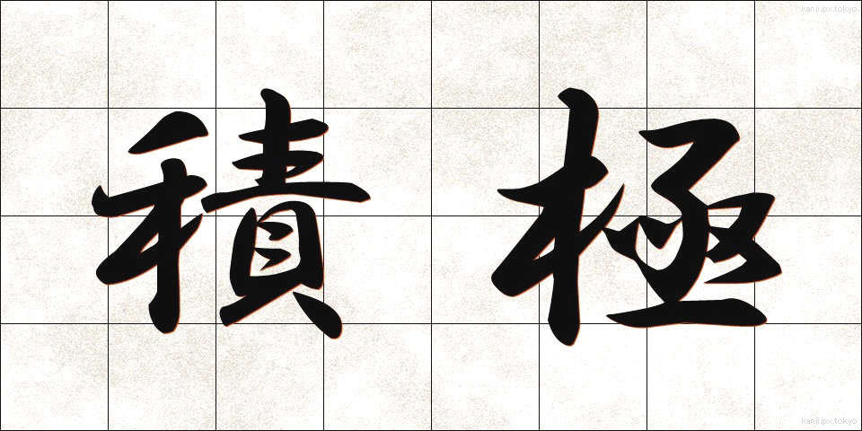 積極 (せっきょく)
