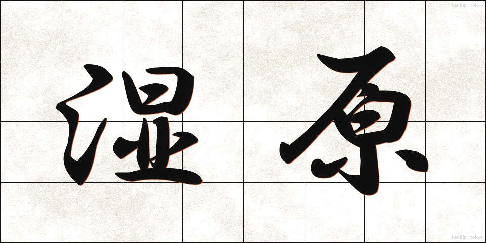 湿原 (しつげん)