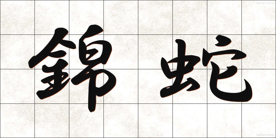 錦蛇 (きんじゃ)