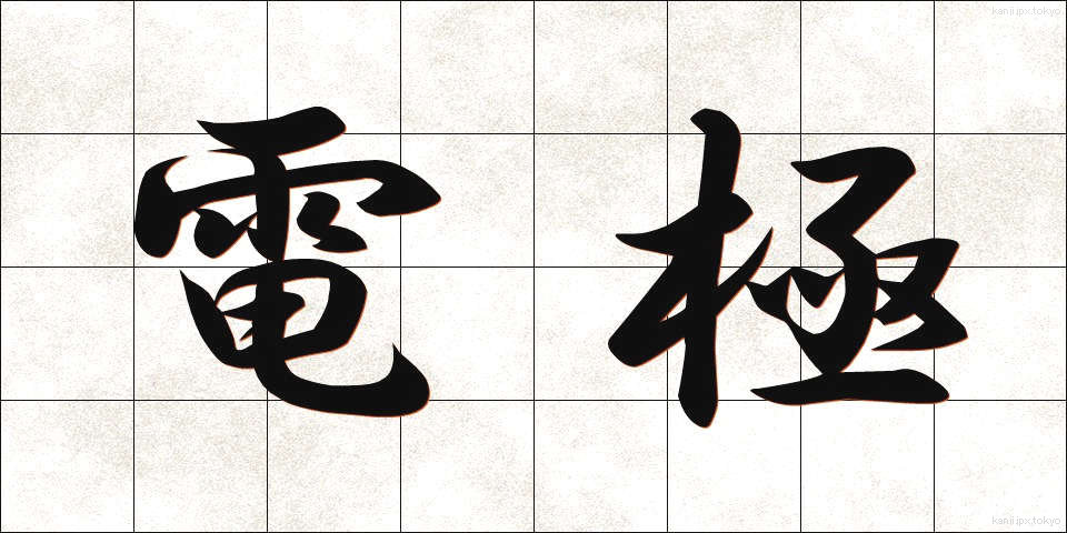電極 (でんきょく)