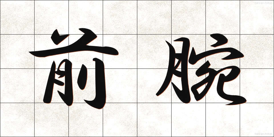 前腕 (ぜんわん)