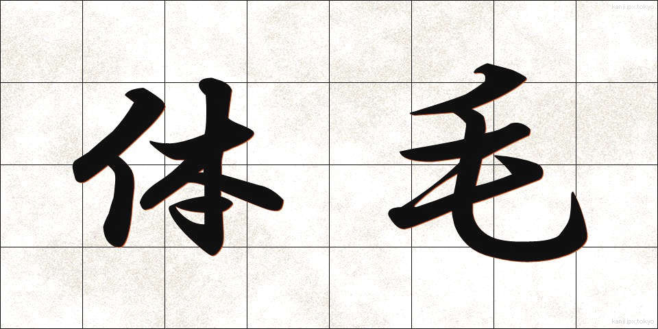 体毛 (たいもう)