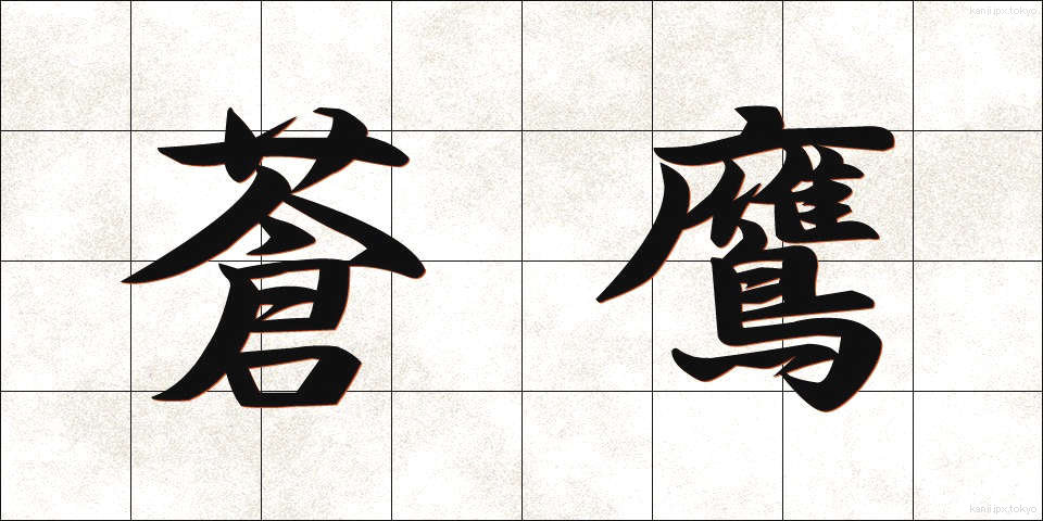 蒼鷹 (そうよう)