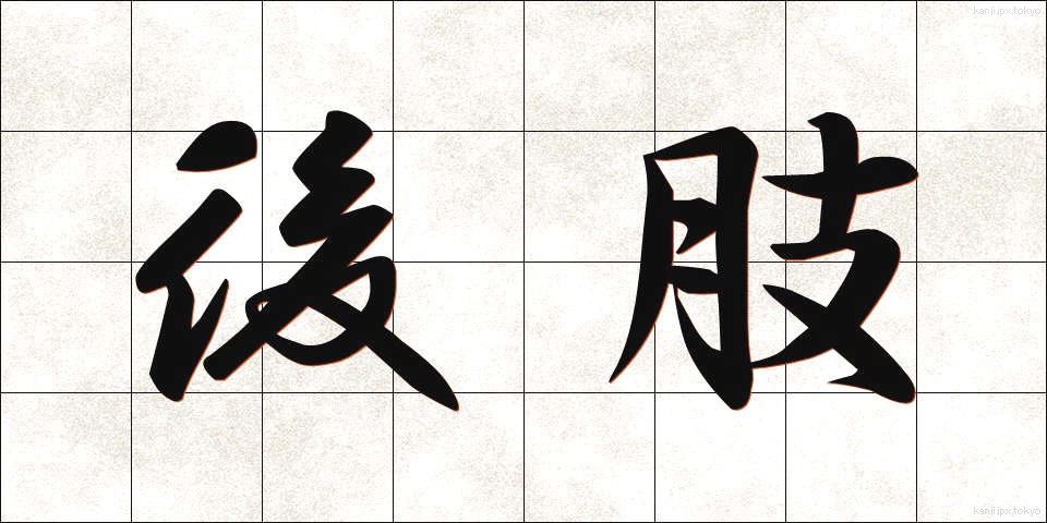 後肢 (こうし)