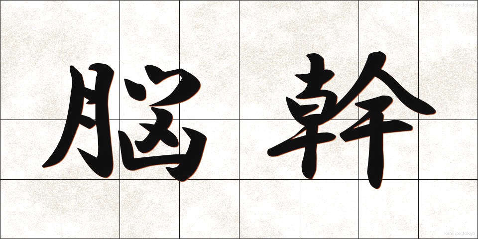 脳幹 (のうかん)