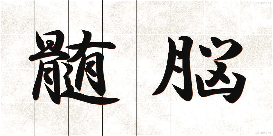 髄脳 (ずいのう)