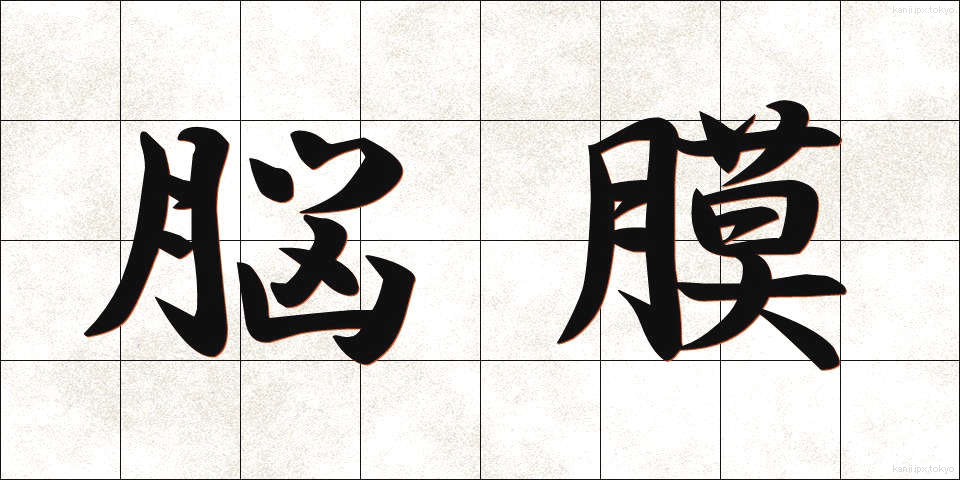 脳膜 (のうまく)