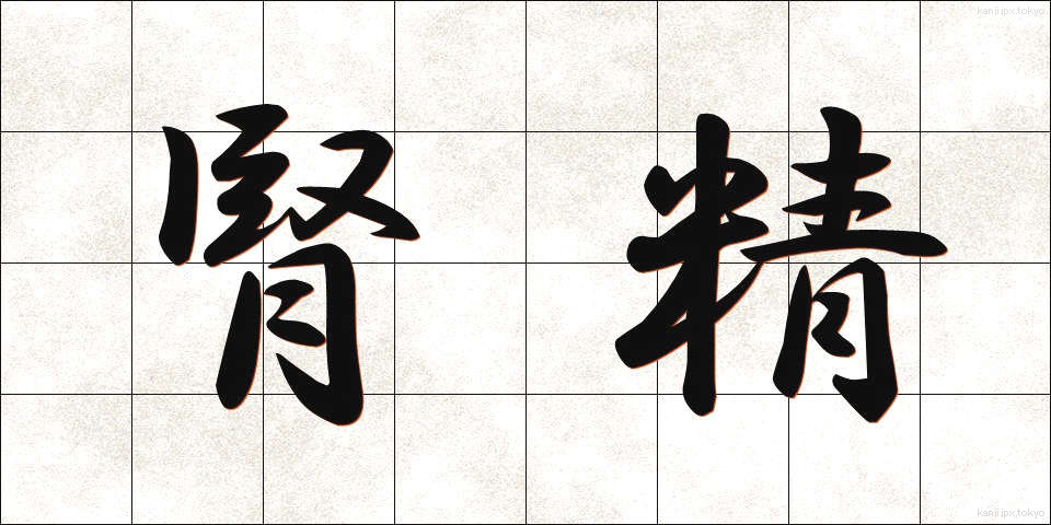 腎精 (じんせい)