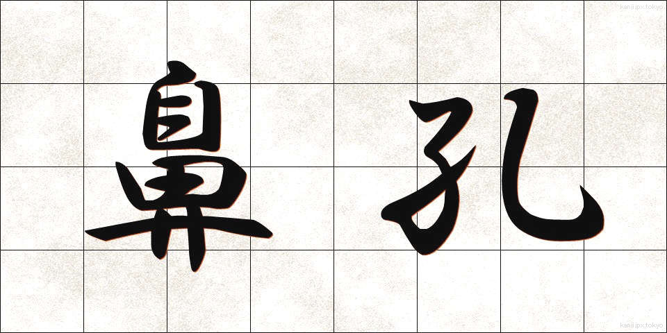 鼻孔 (びこう)