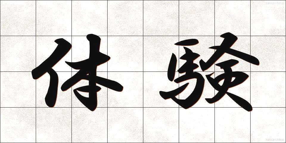 体験 (たいけん)