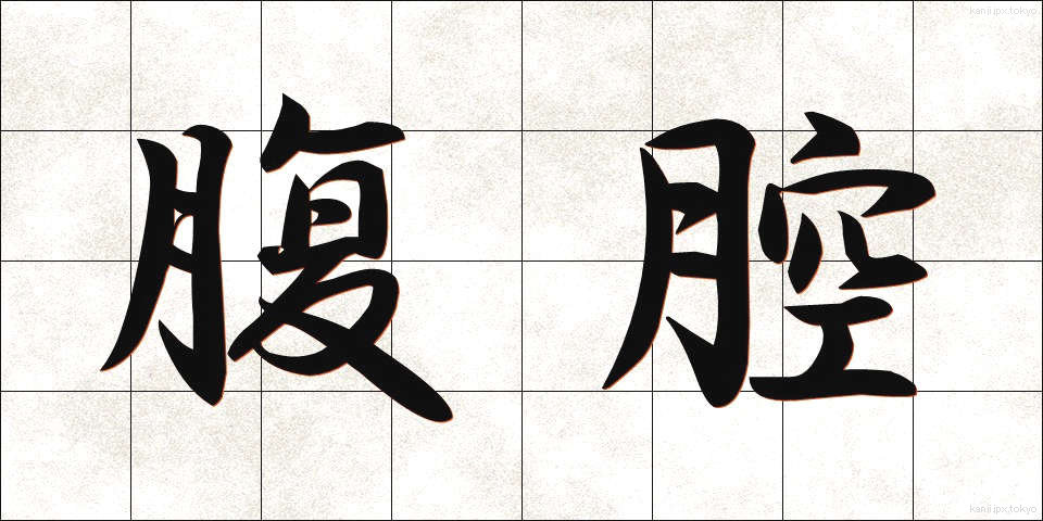 腹腔 (ふくくう)