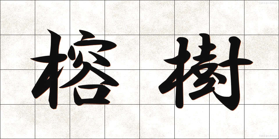 榕樹 (ようじゅ)